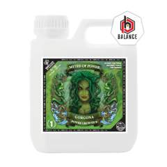 Gorgona Power GROW B 500ml