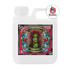 Gorgona Power BLOOM B 5L 