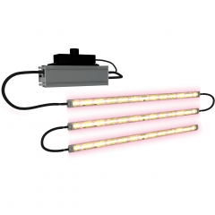 The Jungle LED-Kasvivalaisin Brookes 140W (4x35w) 