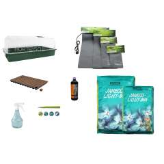 XXL-kokoinen toimarin idätys-setti 72