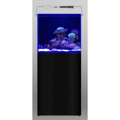 Aquarium Systems - L'Aquarium 250L Akvaario + Musta kabinetti 60cm (tilaustuote) 