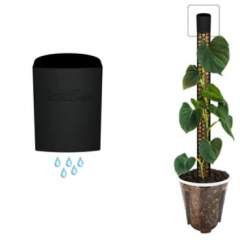 M2 Dripperi – musta