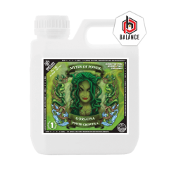 Gorgona Power GROW B 10l 