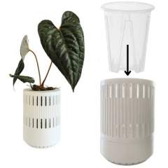 Ruukunsuoja, Aroid pot 12cm 