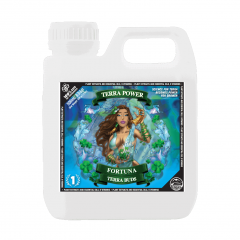 1L Fortuna Fire Buds repack