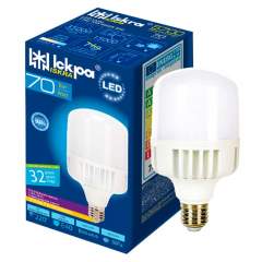 Kasvilamppu Iskra LED 70W 6500K E40