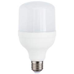 Kasvilamppu Iskra LED 30W 6500K E27 