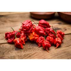 Carolina Reaper brown chili Siemenet 1kpl 