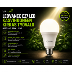 Kasvihuoneen kirkas työvalo 4000 lm – LEDVANCE E27 LED (IP65, 29W)