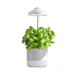 Kobi LED VERDI 5W 3200K