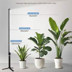 Koray 36W jalkalamppu kasveille – täysspektri F175 (RX-T10 1200 mm)