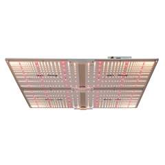 Kasvilamppu Koray LED 430W G4000 