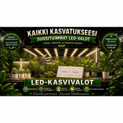 LED-Kasvivalot
