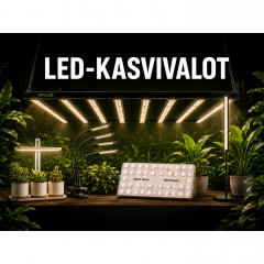 LED-Kasvivalot