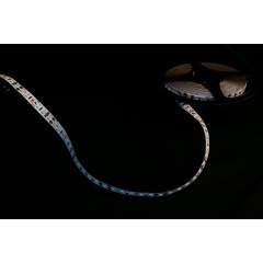 THE COBRA
