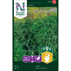 Tilli siemenet Big Pack, Como - Nelson Garden D 90278