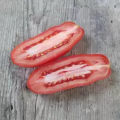 San Marzano, Solanum lycopersicum ORGANIC n. 30kpl