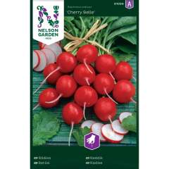 Retiisin siemenet, Cherry Belle - Nelson Garden 91099