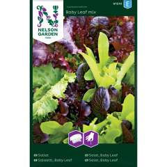 Salaattiseos siemenet, Baby Leaf mix, Kylvönau - Nelson Garden 91210