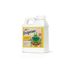 Xpert Nutrients Enzymes 250ml