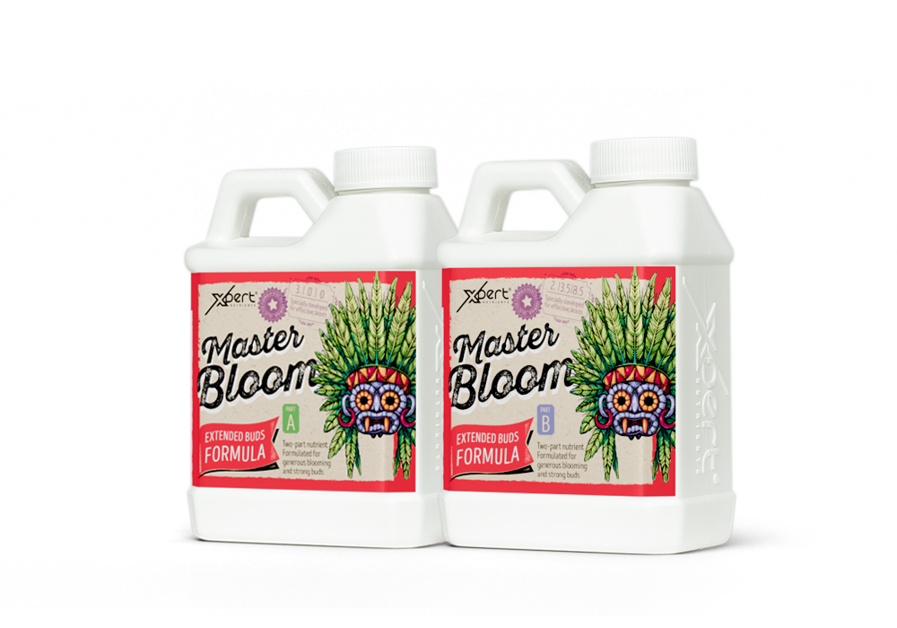 Xpert Nutrients Master Bloom A+B 250ml